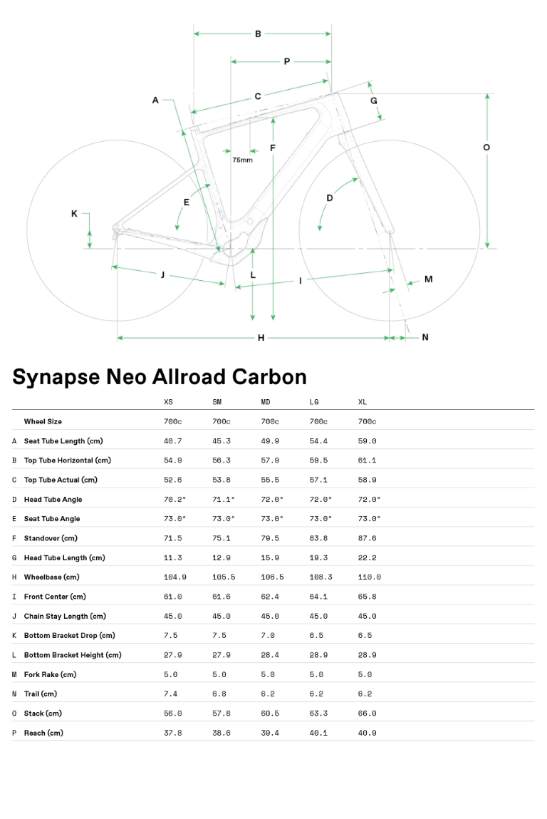 Geometrie CANNONDALE Synapse Neo Allroad 1 (Mantis)