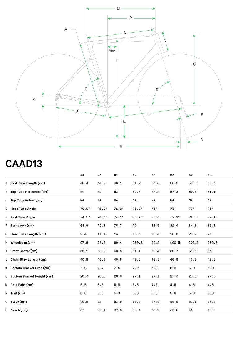 Geometrie CANNONDALE CAAD13 105 (Matte Black)