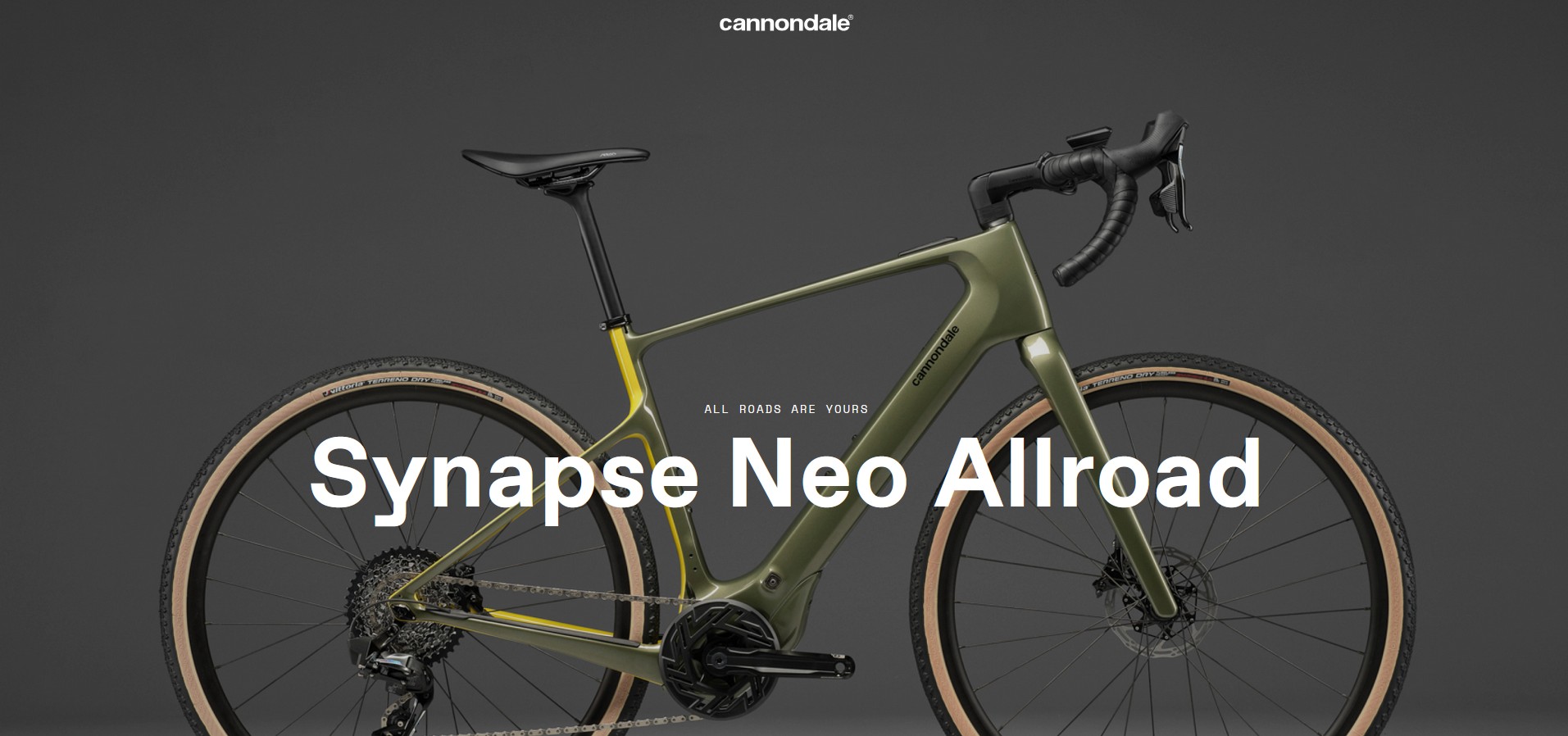 Cannondale 2024 Synapse Neo Allroad